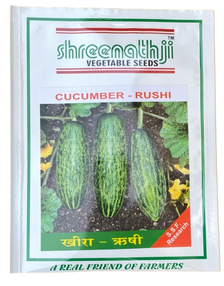 ચિભડા ઋષિ